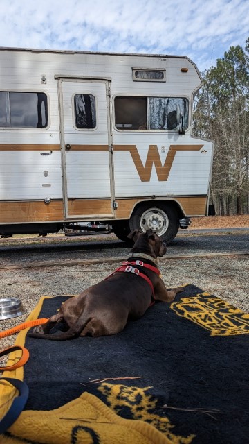 1972 Winnebago D20